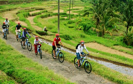 دوچرخه سواری در Jatiluwih بالی