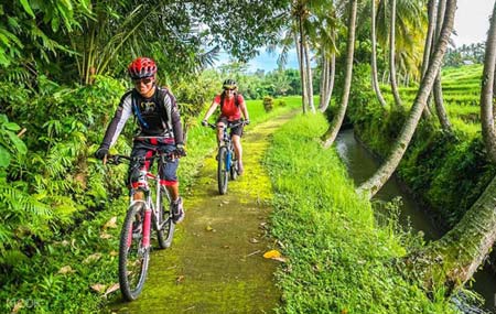 تور دوچرخه سواری کارانگساری بالی