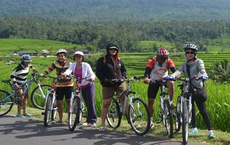 دوچرخه سواری در Jatiluwih بالی