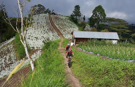 دوچرخه سواری در کوه های بالی