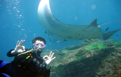 جاذبه های زیر آب تور بالی سفره ماهی دیو