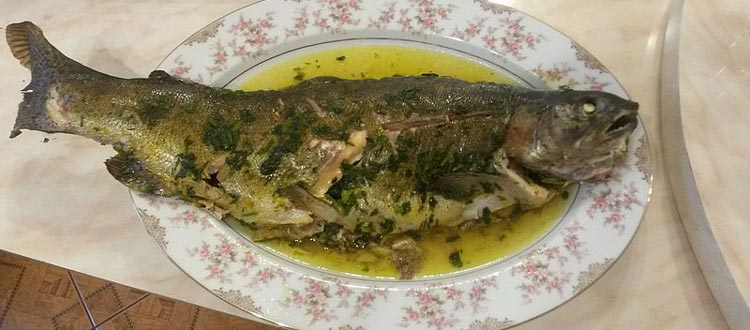 کباب ماهی ایشخان ارمنستان
