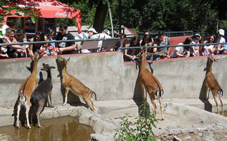 باغ وحش ارمنستان در تور نوروز