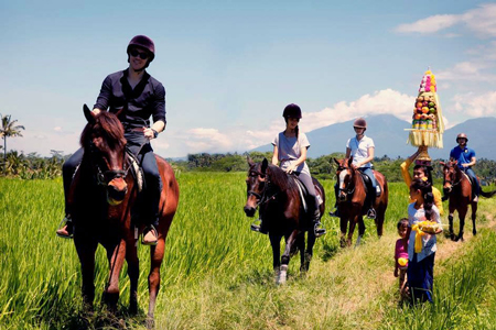 اسب سواری در منظقه اوبود در تور بالی