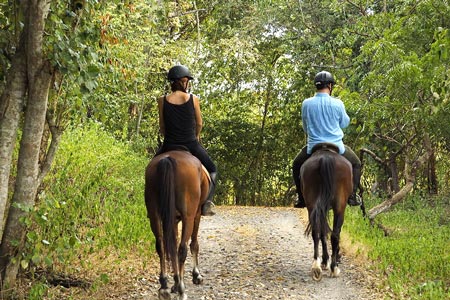 تور اسب سواری در جنگل های بالی