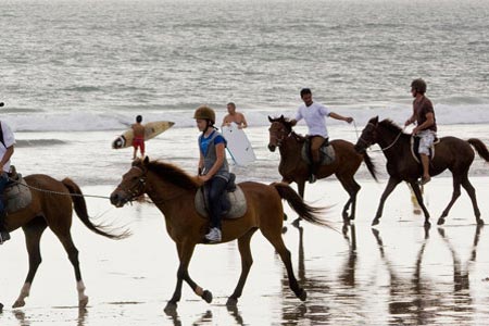 اسب سواری در تور بالی