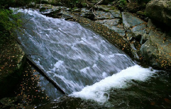 vitosha park 